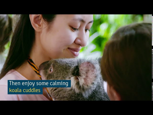 Three Days in Cairns | City Guides | Tourism Australia