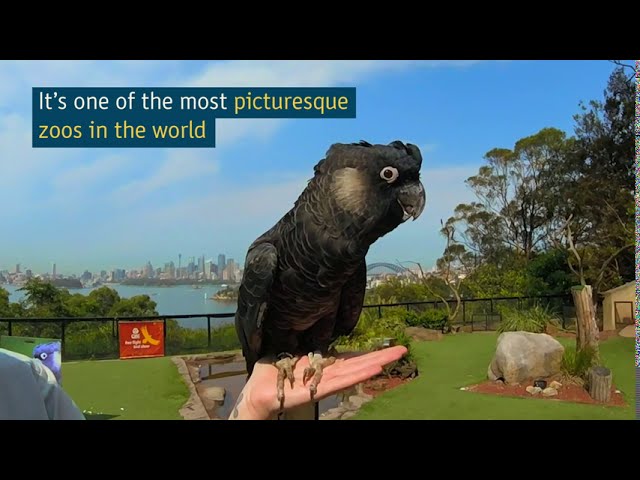Three Days in Sydney | City Guides | Tourism Australia
