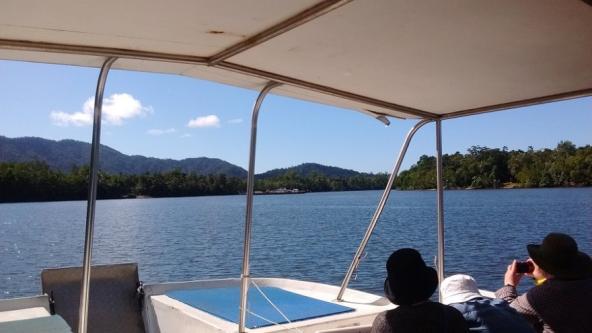 Daintree Nationalpark