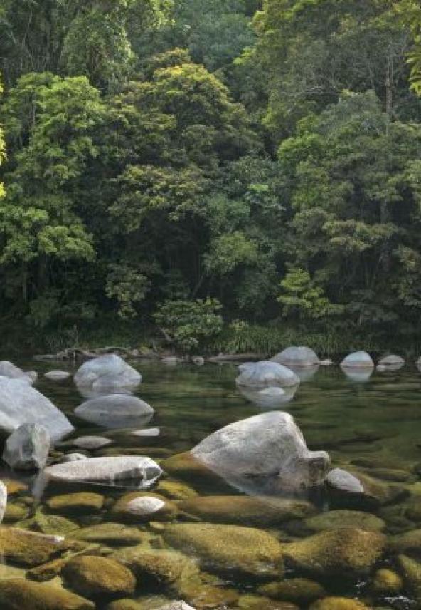 Mossman Gorge