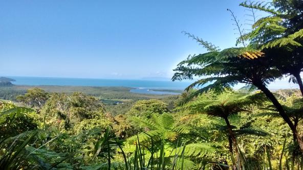 Daintree Nationalpark Queensland Australien entdecken