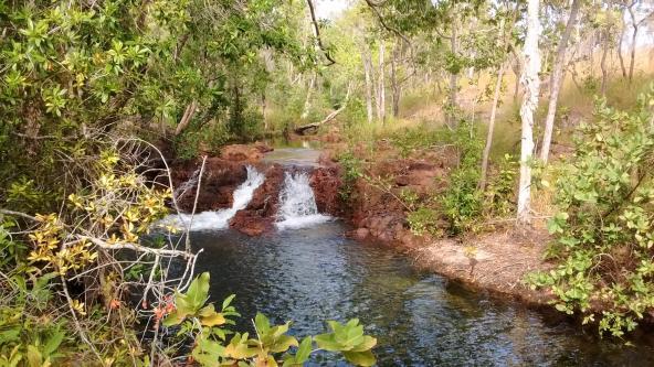 Australien entdecken Litchfield Nationalpark Northern Territory