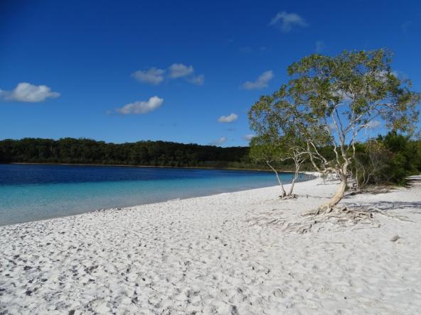 Fraser Island Queensland Lake Mackenzie