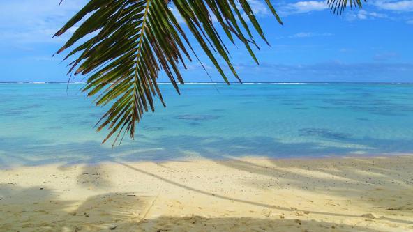 Rarotonga Strand mit Palmwedel Cook Inseln entdecken