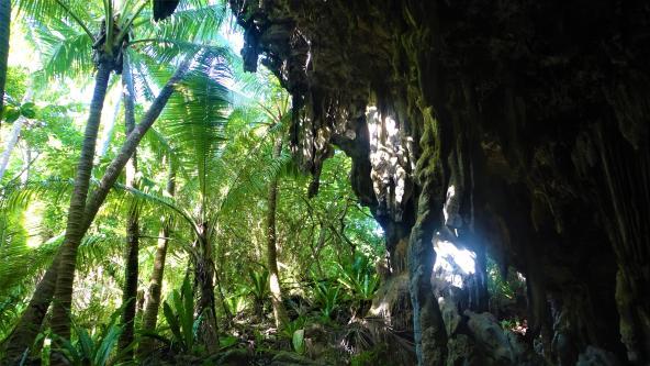 Atiu Cook Inseln Südsee Höhle Geheimnis
