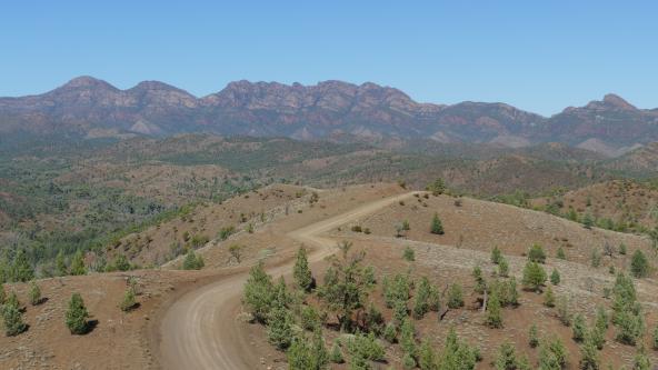 razorback Flinders Ranges Südaustralien Wilpena Pound Ikara Nationalpark