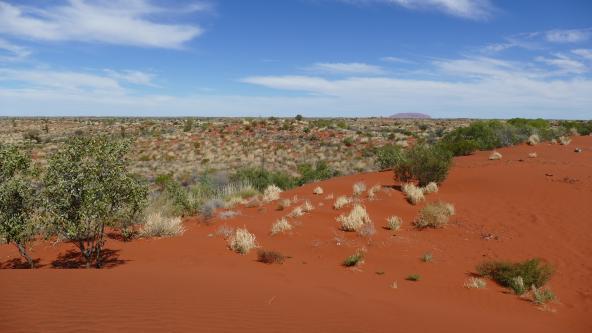 Rotes Zentrum Northern Territory Uluru Ayers Rock 