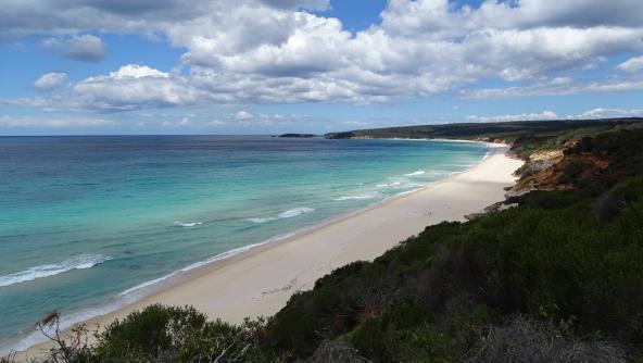 Strand Küste Australien Ben Boyd Nationalpark New South Wales