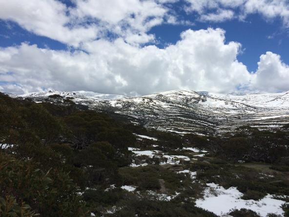 Australien Snowy Mountains Main Range Charlotte Pass