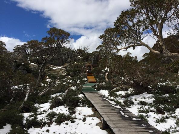 Charlotte Pass Australien Snowy Mountains Snow Gum Boardwalk