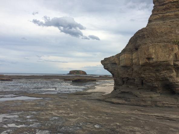 Depot Beach Küstenformation Murramarang NSW Australien