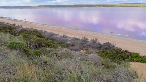 Pink Lake