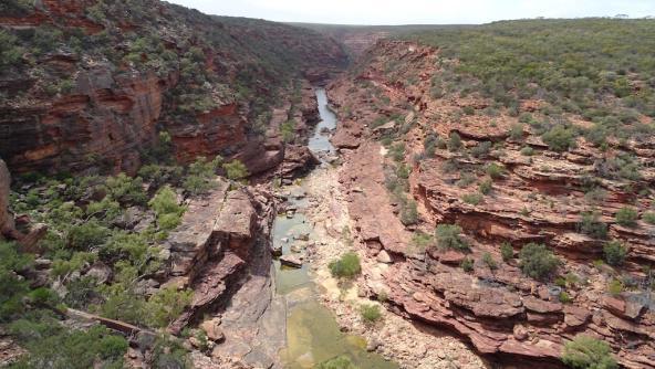 Z Bend Lookout