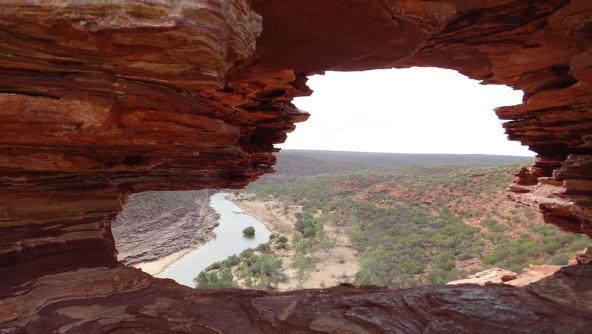 Natures Window