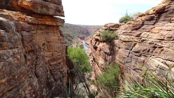 Schlucht am Z Bend Lookout