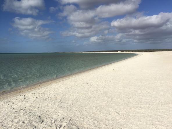 Auf den ersten Blick weist sich der Shell Beach zunächst als Sandstrand aus