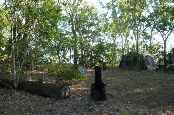Safarizelt im Camp