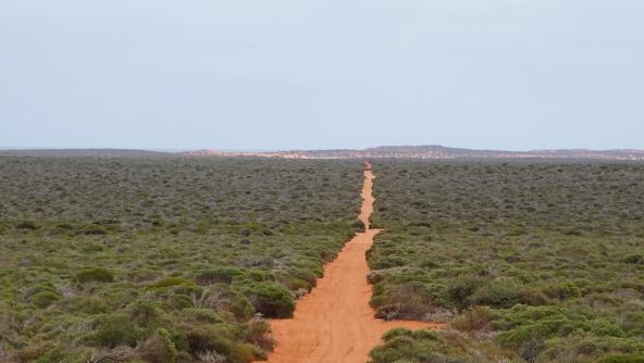 Auf den Weg in den Francois Peron Nationalpark fahren wir auf rotem Wüstensand