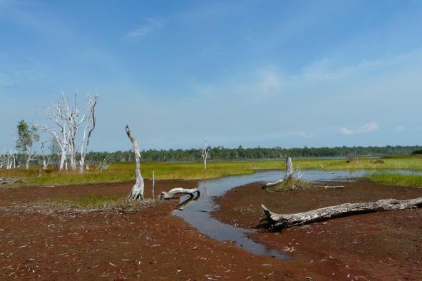Ramsar Wetland
