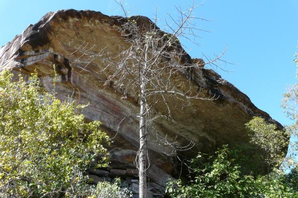 Northern Territory Top
