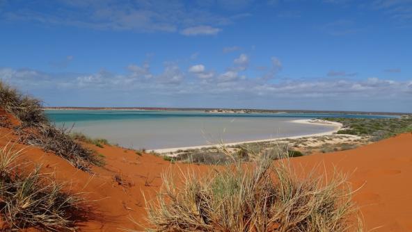 Westaustralien Korallenküste Francois Peron Nationalpark Strand