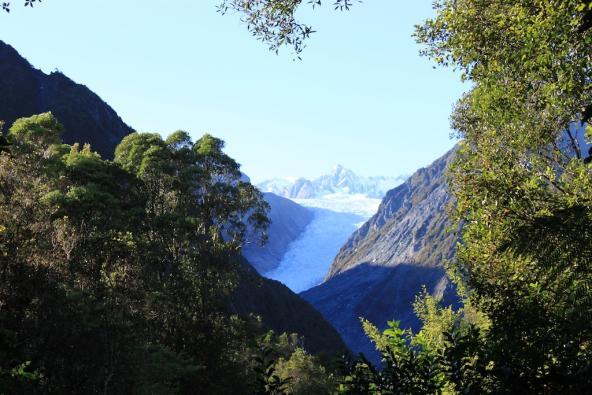Franz Josef Gletscher Südinsel Neuseeland 