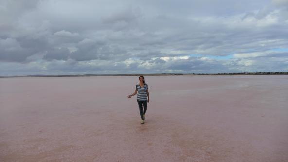 Südaustralien Lochiel Lake Bumbunga Pink Lake Explorers Way