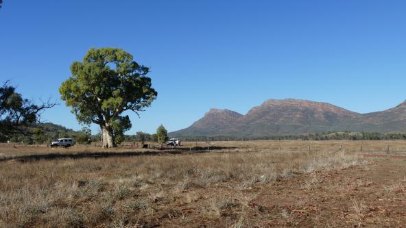 Wilpena Pound Ikara Flinders Ranges Nationalpark Südaustralien