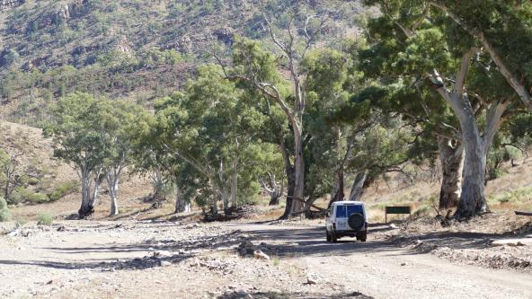 Ikara Flinders Ranges Südaustralien Brachina Gorge 4WD