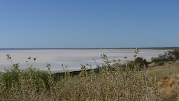 Lake Hart Salzsee Explorers Way Südaustralien Australien entdecken