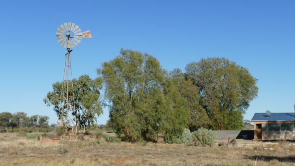 Rinderfarm Wirraminna Station Bed & Breakfast Unterkunft Südaustralien