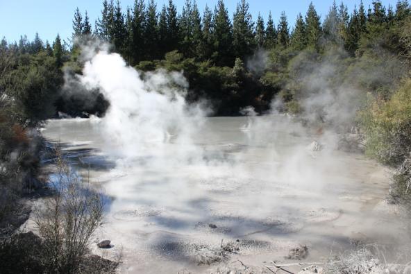 Rotorua Neuseeland Nordinsel Wai o tapu 