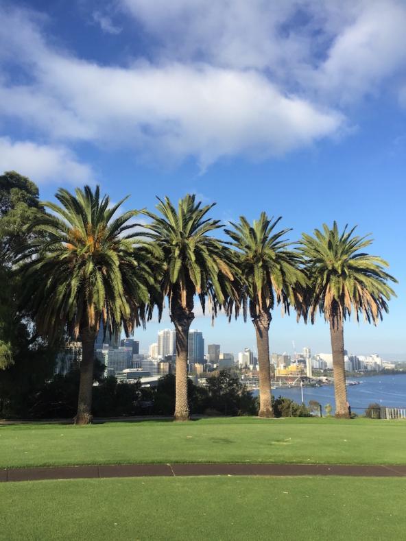 Vom Kings Park genießt man eine wunderbare Aussicht auf Perth
