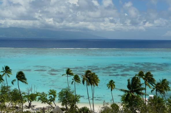 Sofitel Moorea