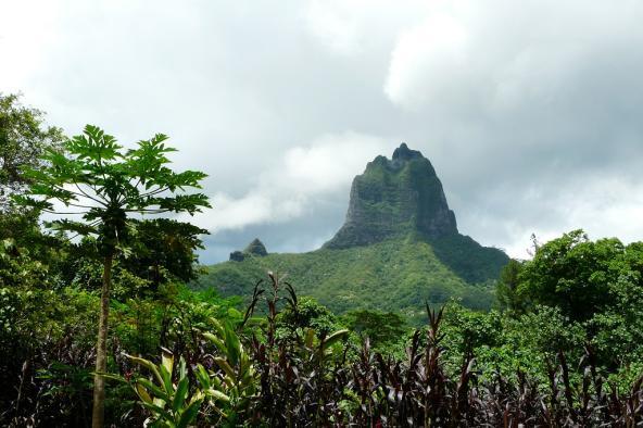 Moorea Landesinnere