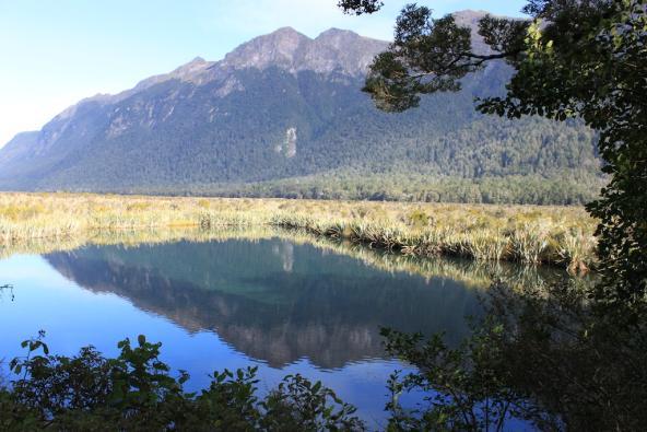 Mirror Lake auf dem Weg in den Milford Sound