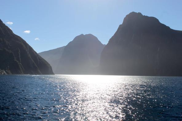 Milford Sound bei einer Segelschifffahrt