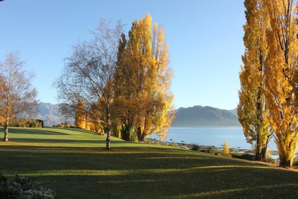 Herbstfarben in Wanaka