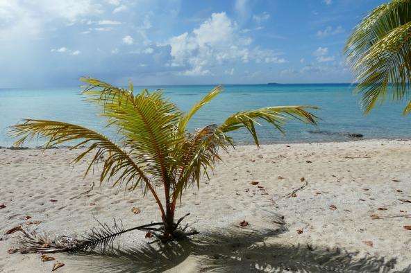Strand Tikehau