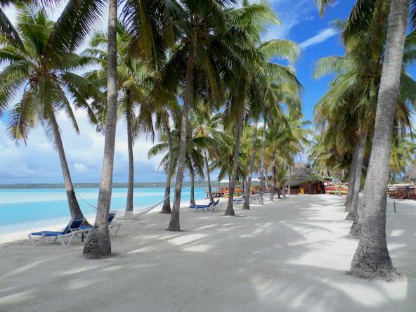 Ich kann mich nicht satt sehen an dem palmenumsäumten weißen Strand neben dem glasklaren Wasser
