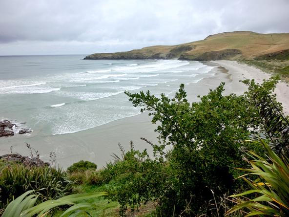 Traumstrand auf der Otago-Peninsula
