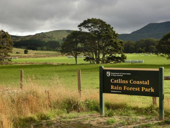 Typische Szene auf dem Weg in die Catlins