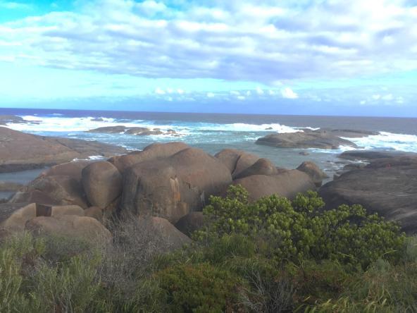 Elephant Rock – die Felsgebilde sehen tatsächlich wie Elefanten aus