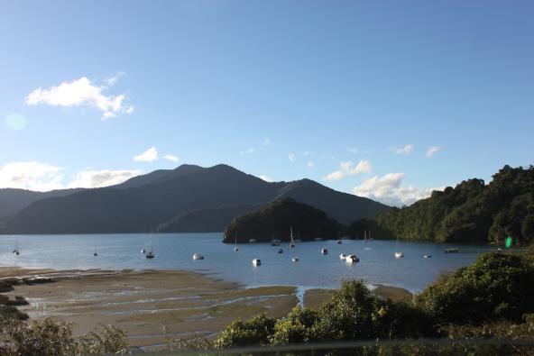 Marlborough Sound auf der Scenic Route