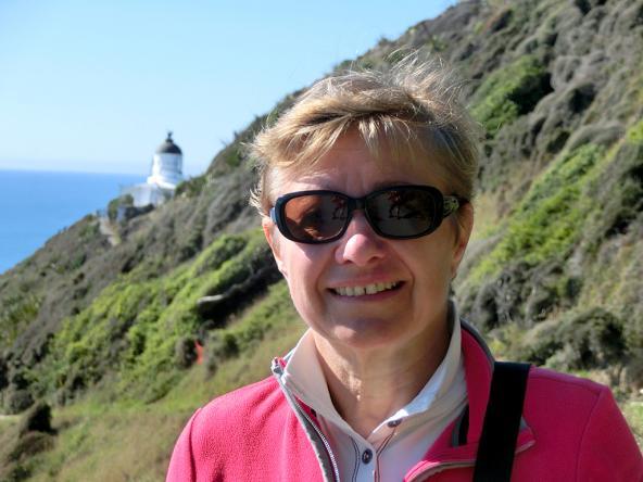 Im Hintergrund das Lighthouse am Nugget Point