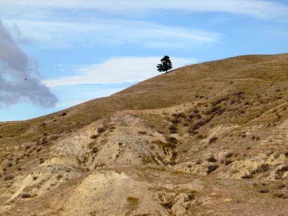 Central Otago – the coldest, the hottest, the driest part of New Zealand