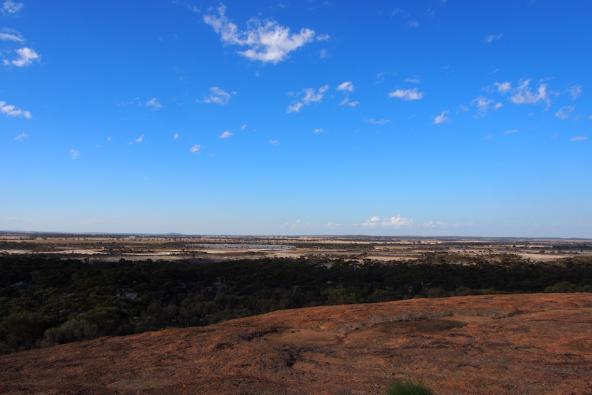 Aussicht über die Wave Rock und Hyden Region