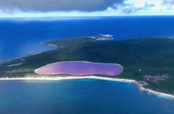 Pink Lake auf Middle Island