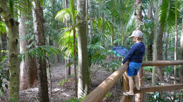 North Stradbroke Island Regenwald mit Kind Australien