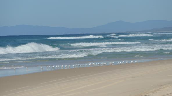 Main Beach North Stradbroke Island Strand Queensland